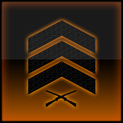 Reach Sergeant (Level 10) in multiplayer Public Match.